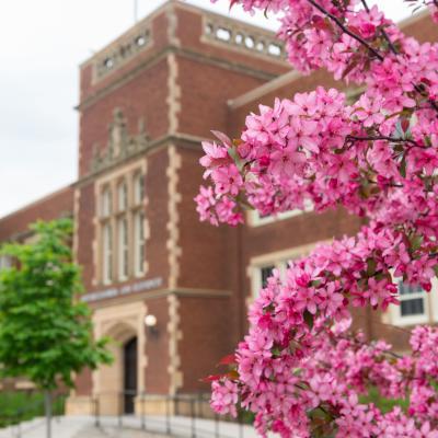 Schofield Hall in the spring with trees blooming.